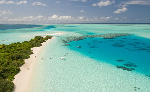 Caribbean