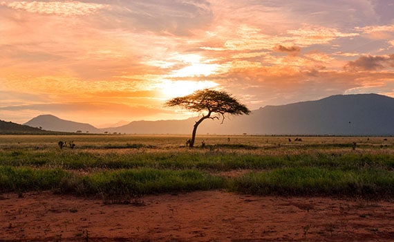 africa