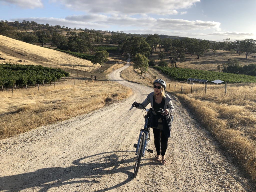 tennis-tourist-angaston-australia-cycling