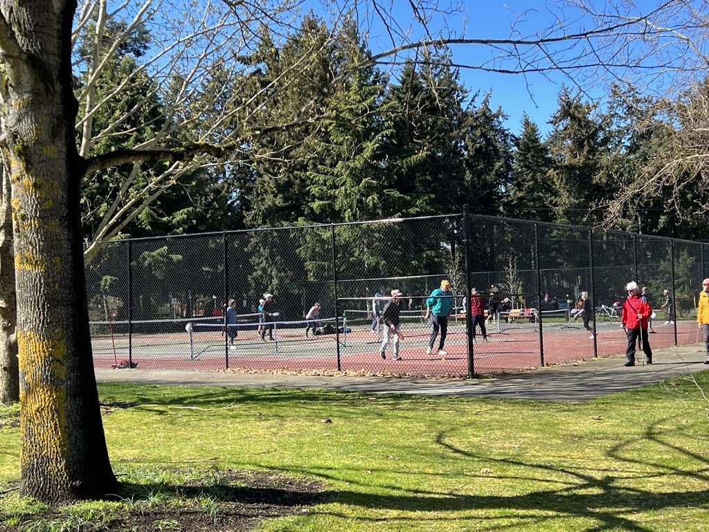 tennis tourist parksville community park grass and courts teri church