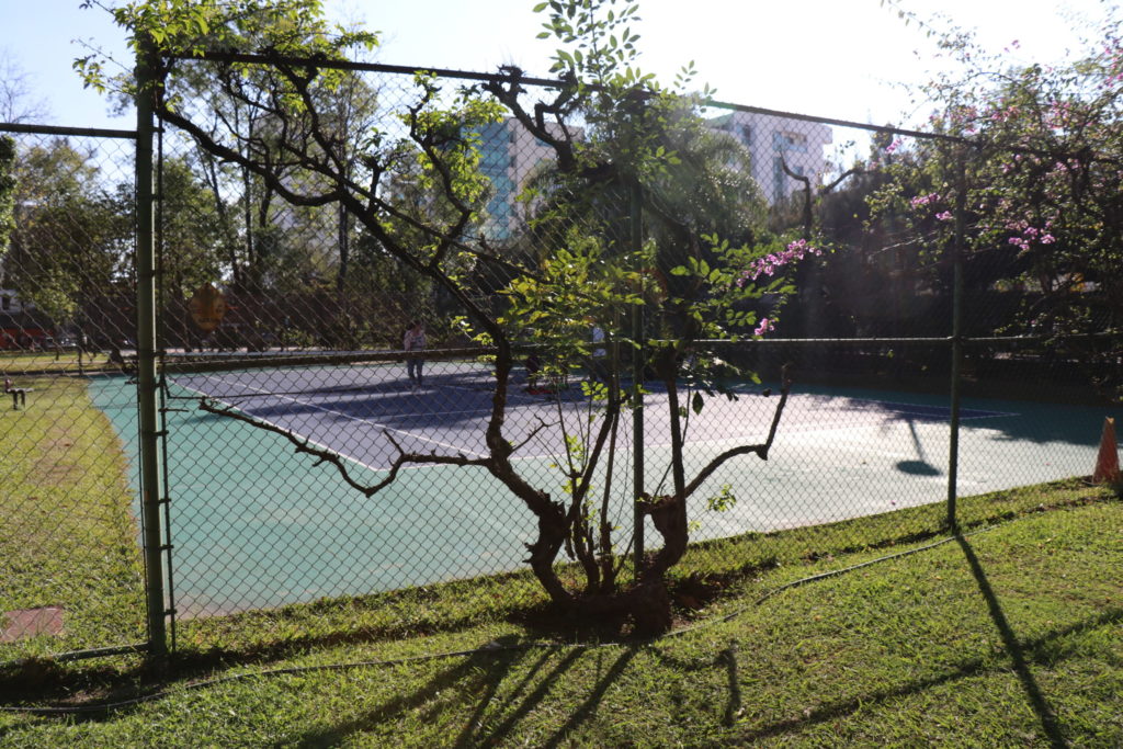 tennis-tourist-guadalajara-mexico-Enrique ladron de Guevara-tree