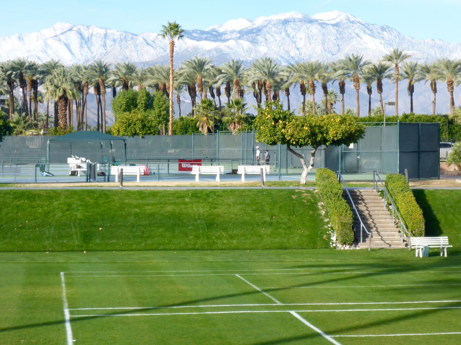 -jw-marriott-palm-desert-grass