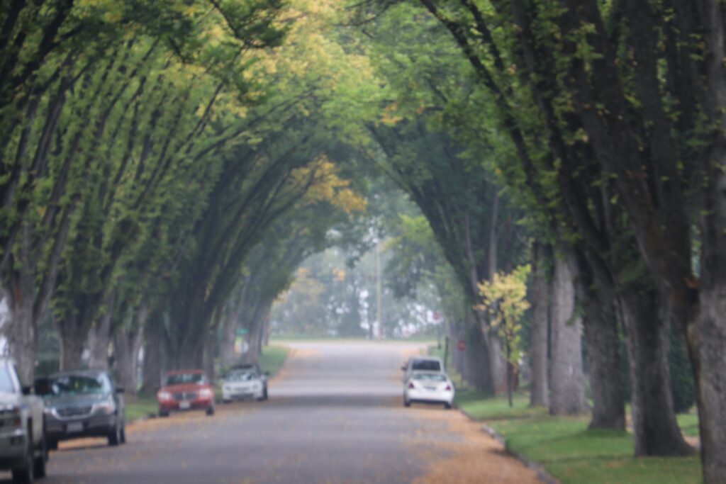 tennis tourist prince george bc tree grove