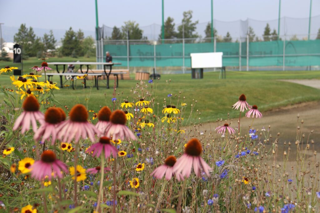 tennis tourist prince george bc tennis club flowers courts teri church