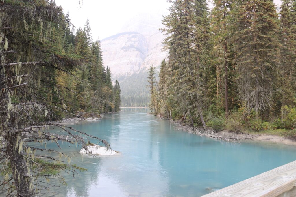 tennis tourist valemount bc mount robson blue water trees