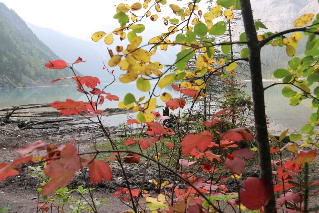 tennis tourist valemount bc mount robson fall leaves teri church