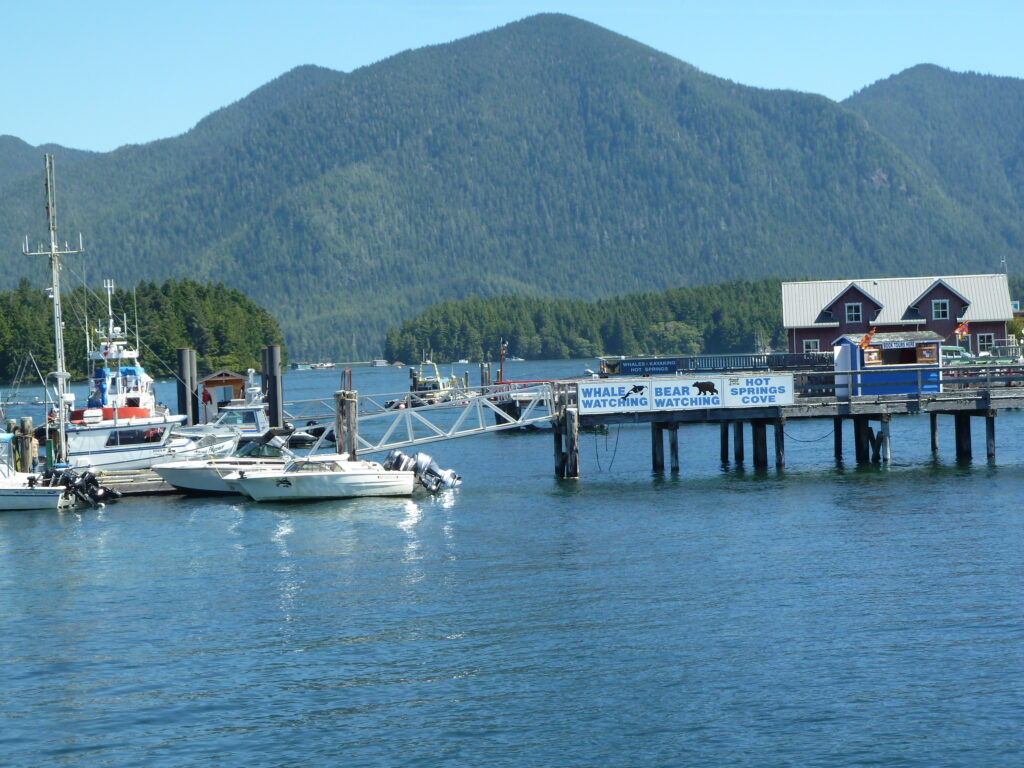 tennis-tourist-tofino-bc-dock