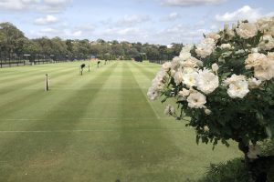 tennis-tourist-kooyong-tennis-club-australia-grass-courts-flowers