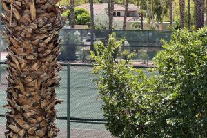 tennis tourist oasis palm springs california