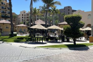 tennis-tourist-villa-del-palmar-cabo-san-lucas-mexico-palapas