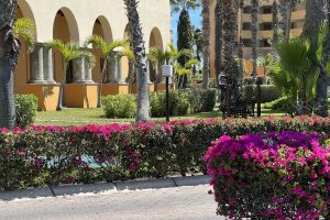 tennis-tourist-villa-del-palmar-cabo-san-lucas-mexico-building-flowers
